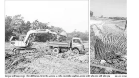 ফসলি জমি ডোবা বানানোর &lsquo;উৎসব&rsquo;