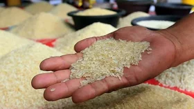 মন্ত্রীর নির্দেশের পরও বাজারে কমেনি চালের দাম