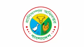 দেশে কোনো গাধা নেই, ছাগল বাড়ছে!