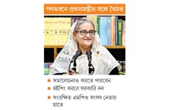 স্বতন্ত্রই থাকবেন স্বতন্ত্ররা