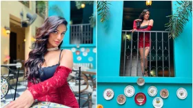 কিভাবে মারা গেলেন পুনম পান্ডে? 