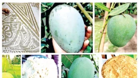 বাংলাদেশের যেসব পণ্য জিআই তালিকায়