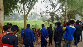 ভুট্টাক্ষেতে নবজাতকের মরদেহ