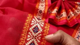 টাঙ্গাইল শাড়ির জিআই স্বত্ব পেতে আবেদন