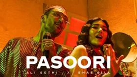 &lsquo;পাসুরি&rsquo; নিয়ে এ বিষয়গুলো আপনি জানেন কী