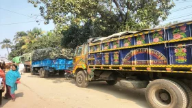 সুনামগঞ্জে কোটি টাকার ভারতীয় পেঁয়াজ জব্দ