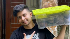 শখের বসে পিঁপড়া পালেন সোহান