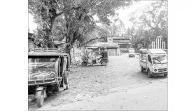 শহীদ মিনার চত্বর দখল করে পরিবহন স্ট্যান্ড
