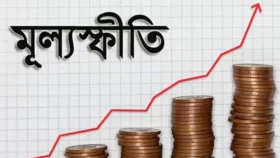 ১৬ বছরে খাদ্য মূল্যস্ফীতি সর্বোচ্চ