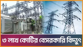 ৩ লাখ কোটির বেসরকারি বিদ্যুৎ