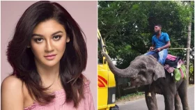 হাতি ব্যবহার বন্ধে জয়া আহসানের রিট