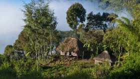 পাপুয়া নিউ গিনিতে অতর্কিত হামলা-সংঘর্ষ, নিহত ৬৪