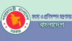 মৎস্য ও প্রাণিসম্পদ মন্ত্রণালয়ে চাকরির সুযোগ