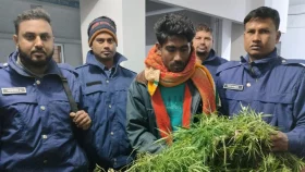 আঙিনায় পোঁতা ছিল ১২ ফুট উঁচু গাঁজার গাছ