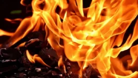 মশার কয়েল থেকে বাসে আগুন, হেলপারের মৃত্যু