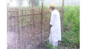 কবর জিয়ারতের গুরুত্ব ও বিধান