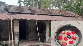 কুড়িয়ে পাওয়া ককটেলে বিচ্ছিন্ন শিশুর হাত, ঝলসে গেছে মুখ