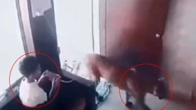 আচমকাই ঘরে ঢুকল চিতাবাঘ, যা করল ১২ বছরের শিশু