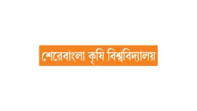 সাংবাদিক শুনলে ব্যস্ততা বাড়ে ভারপ্রাপ্ত প্রধান প্রকৌশলীর!