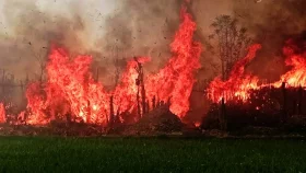 শ্যালকের স্ত্রীকে বিয়ে করতে না পেরে শ্বশুরবাড়িতে আগুন, নিহত ৫