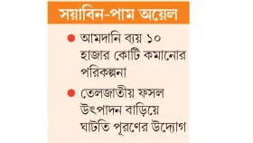 দেশি তেলে ভরসা বিদেশি তেলে না