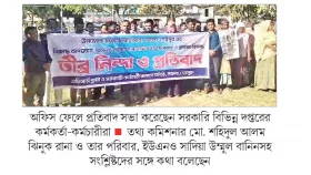 নথি মেলেনি জামিন হয়নি রানার