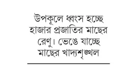 নির্বিচারে ছোট চিংড়ি শিকারে হুমকিতে জলজ জীববৈচিত্র্য