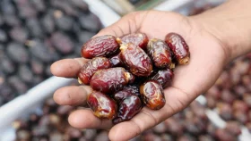 সরকারের বেঁধে দেওয়া দামে বাজারে মিলছে না খেজুর