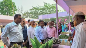 সাশ্রয়ী বাজারে সব মেলে সাশ্রয়ে