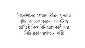 পুঁজিবাজারে দরপতনের যত কারণ