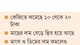বৃষ্টিতে সবজির বাজারে স্বস্তি