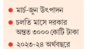 নিরবচ্ছিন্ন বিদ্যুতে ভর্তুকি ১৭ হাজার ৭০০ কোটি