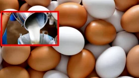ডিমের পিস ৫ টাকা, দুধের লিটার ৭৫