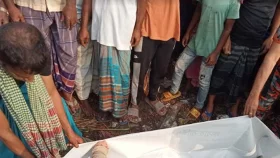 বাকি শুধু রাইসুল