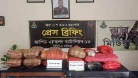 তেলের ড্রামে গাঁজা