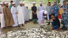 ১০৬ মণ ইলিশ গেল এতিমখানা ও গরিবের ঘরে