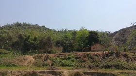 থানচি বাজারে প্রচণ্ড গোলাগুলি, আতঙ্ক