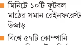সুইজারল্যান্ডের সমান বন উজাড়!