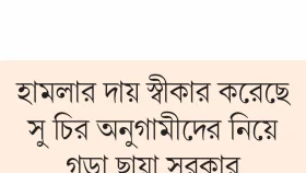 নেপিদোর সেনাঘাঁটি লক্ষ্য করে ড্রোন হামলা