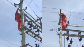 স্বামীর ঘরে পরকীয়া প্রেমিককে রাখার আবদার স্ত্রীর, অতঃপর...