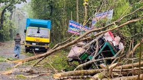 ১০ মিনিটেই লণ্ডভণ্ড পিরোজপুর, নারী নিহত