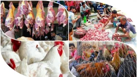 ঈদে অস্থির মাংসের বাজার, ভরসা ‘গোশত সমিতি’