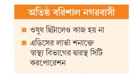 মশার উৎপাত ডেঙ্গুর শঙ্কা
