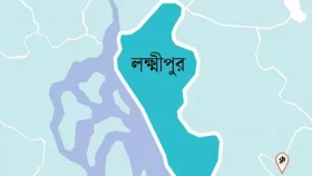 গৃহবধূকে বালিশচাপায় হত্যার অভিযোগ, স্বামী পলাতক