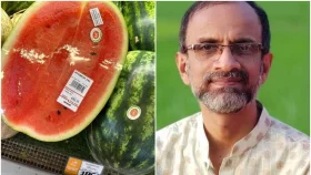 ৪ হাজার টাকা দামের তরমুজের পক্ষে সাফাই গাইলেন মিলন