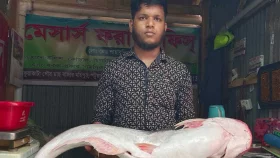 এক পাঙাশের দাম ১৮ হাজার