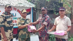 নববর্ষে বিএসএফকে মিষ্টি উপহার দিলো বিজিবি