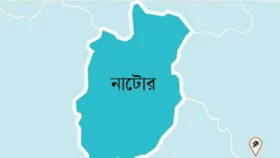 বাগাতিপাড়ায় বিদ্যুৎস্পৃষ্টে রাজমিস্ত্রির মৃত্যু&nbsp;