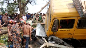 এক ট্রাক কেড়ে নিল ১৪ প্রাণ, বাড়তে পারে আরও