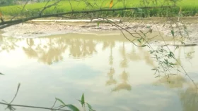 কুড়িগ্রামে পানিতে ডুবে ভাই বোনের মৃত্যু&nbsp;